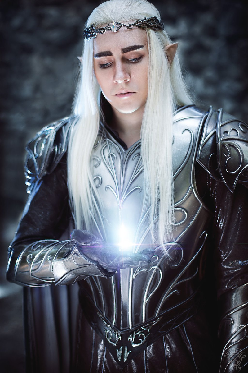 Illustration for article titled Not Sure If Cosplayer Or Actual Elven King